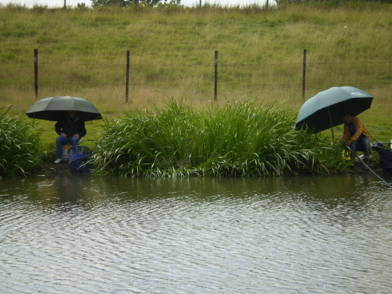 Lith 2008 (44)